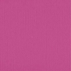 206615 Fuchsia