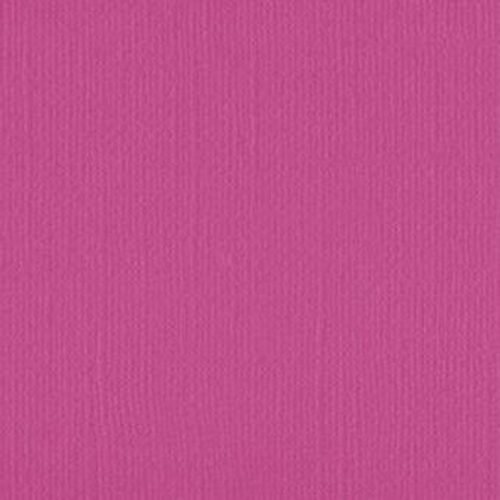 206615 Fuchsia