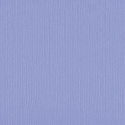 206641 Grape Compote