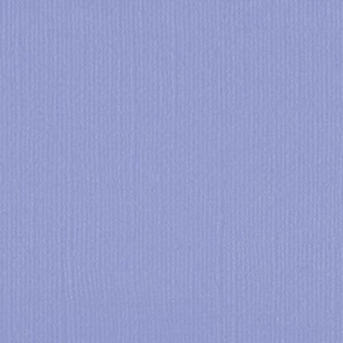 206641 Grape Compote
