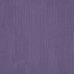 206645 Violet