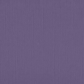 206645 Violet