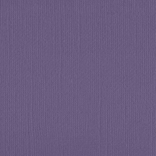 206645 Violet