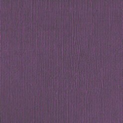 206655 Purple Reign