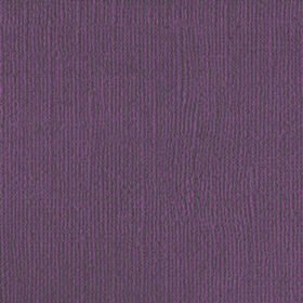 206655 Purple Reign