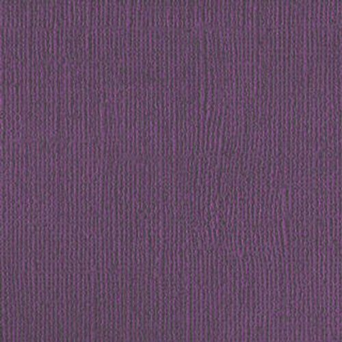 206655 Purple Reign