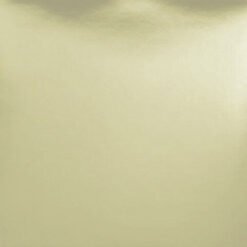 F1012 Pale Gold Mirror Card