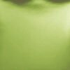 F1052 Lime Lush Mirror Card
